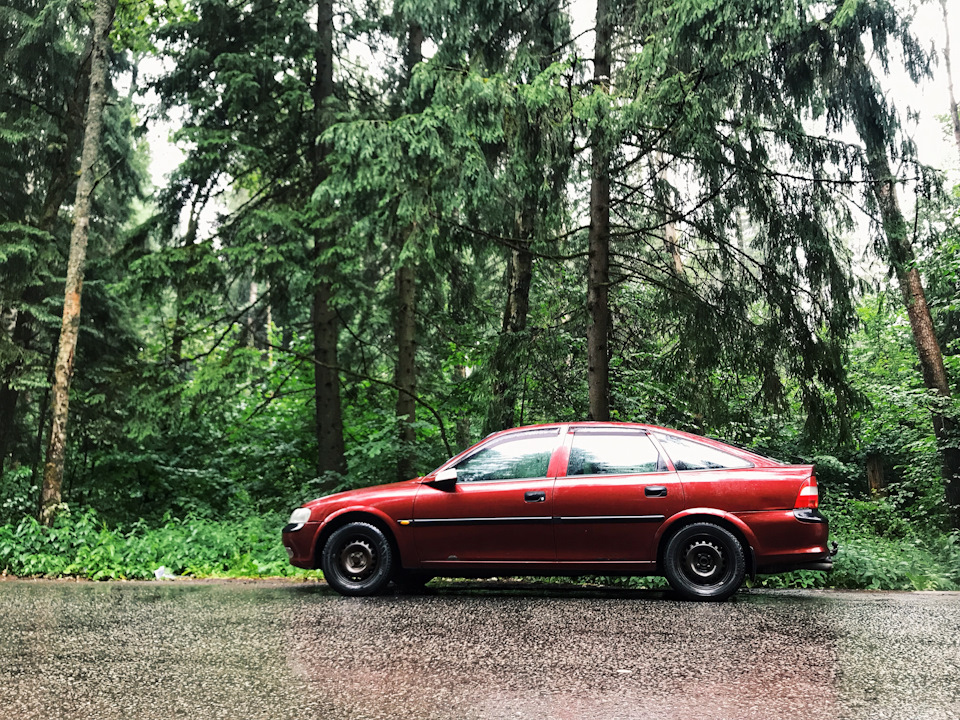 Лягушка стопа (датчик включения стоп сигнала) — Mercedes-Benz E-class ...