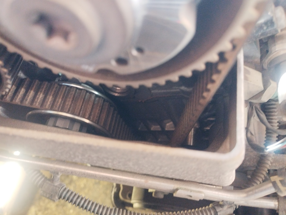 Фото в бортжурнале Audi A4 (B9)