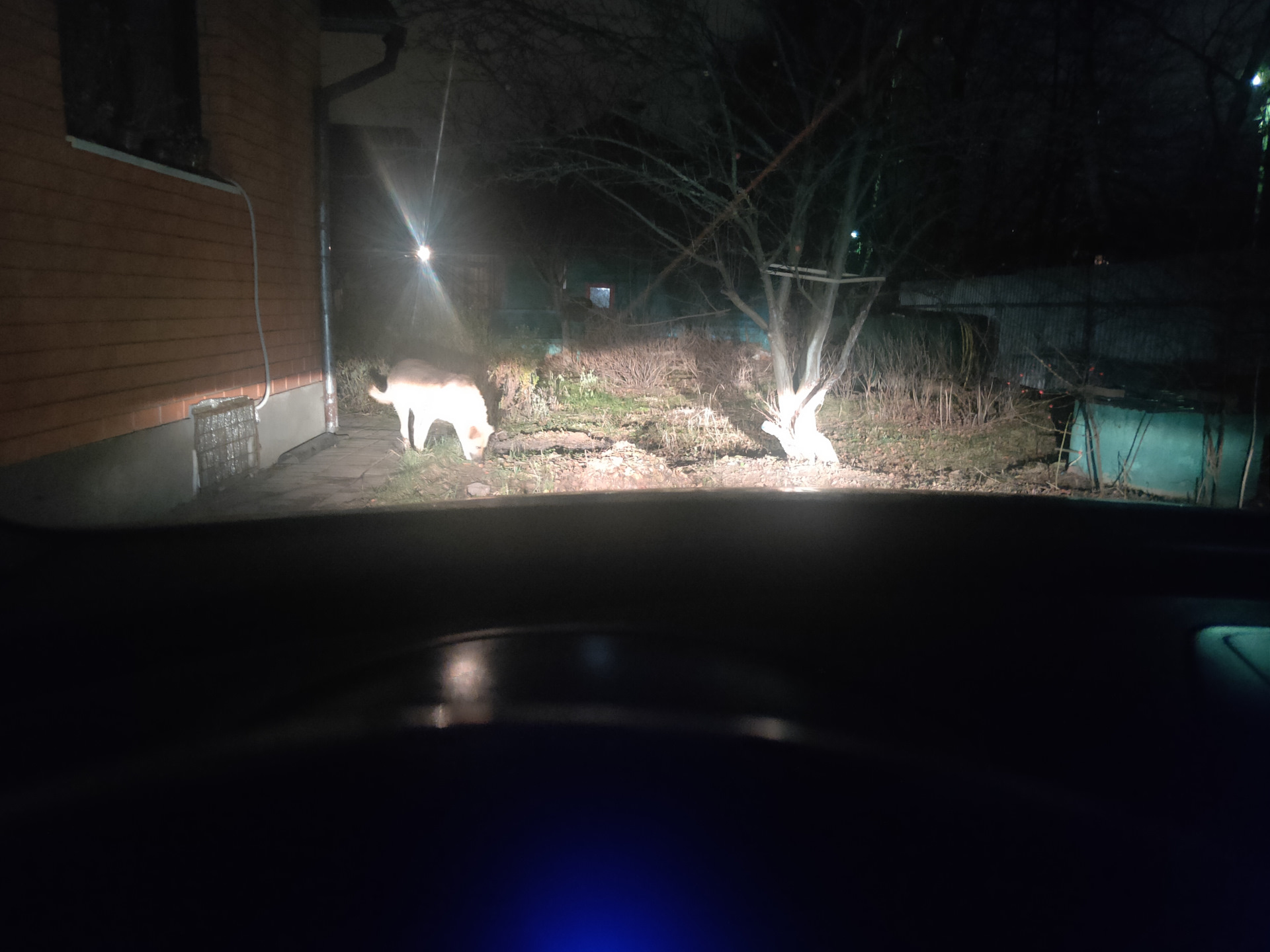 лампы Н18 вместо Н7 — Hyundai i30 (1G), 1,6 л, 2009 года | своими ...