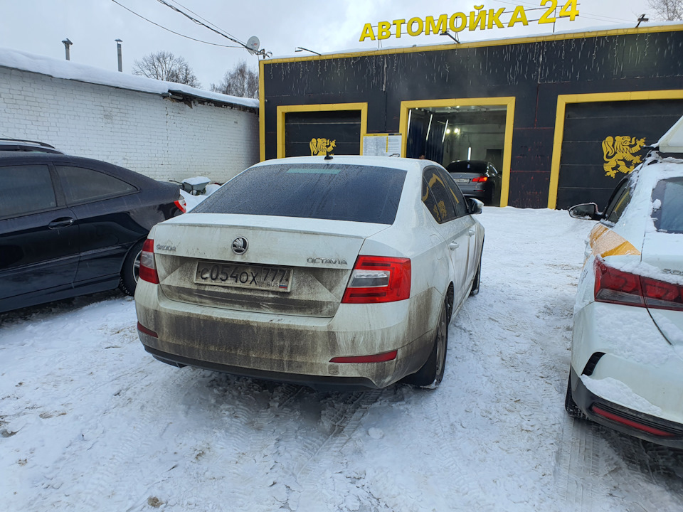 Вид сзади) — Skoda Octavia A7 Mk3