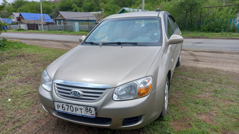KIA Cerato