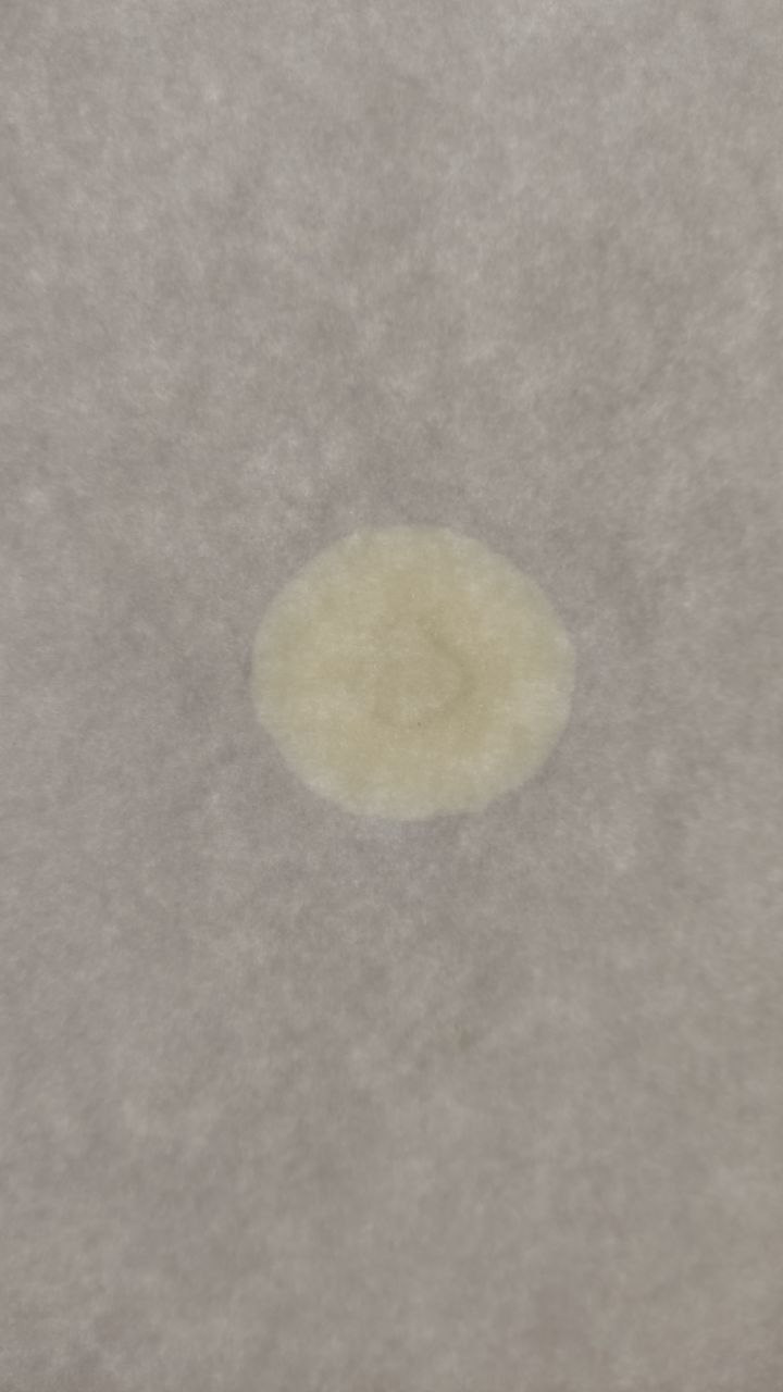 Топливо в масле / Капельный метод проверки моторного масла — Honda ...