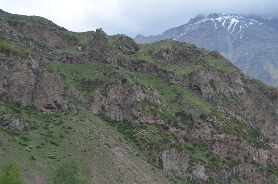 Фото в бортжурнале УАЗ Patriot