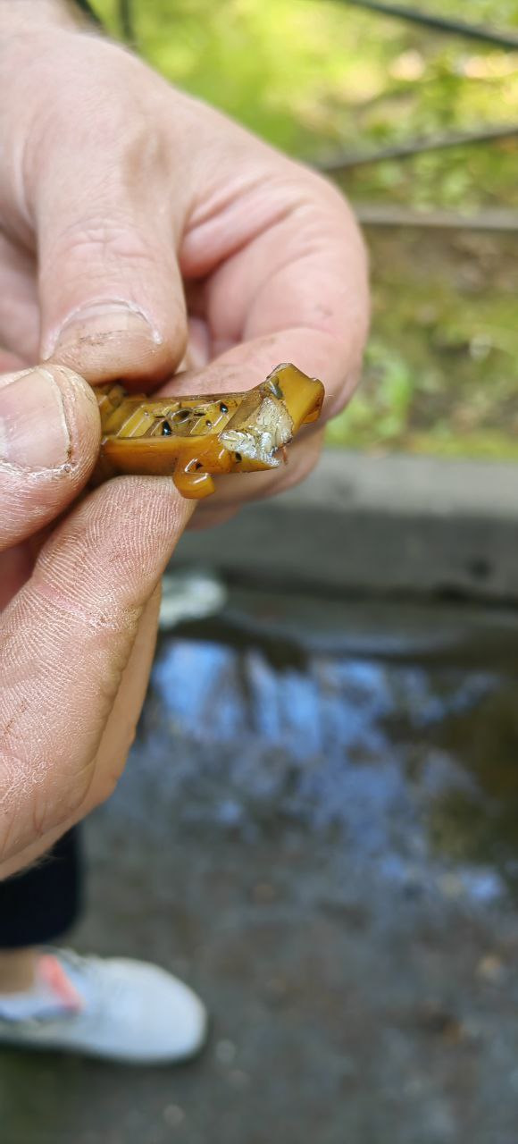 Замена цепи, ремня Грм, помпы — Peugeot 308 SW (2G), 1,5 л, 2018 года ...