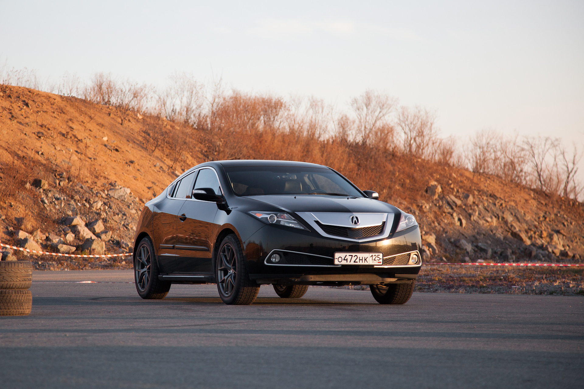 Acura ZDX 2010 коричневый