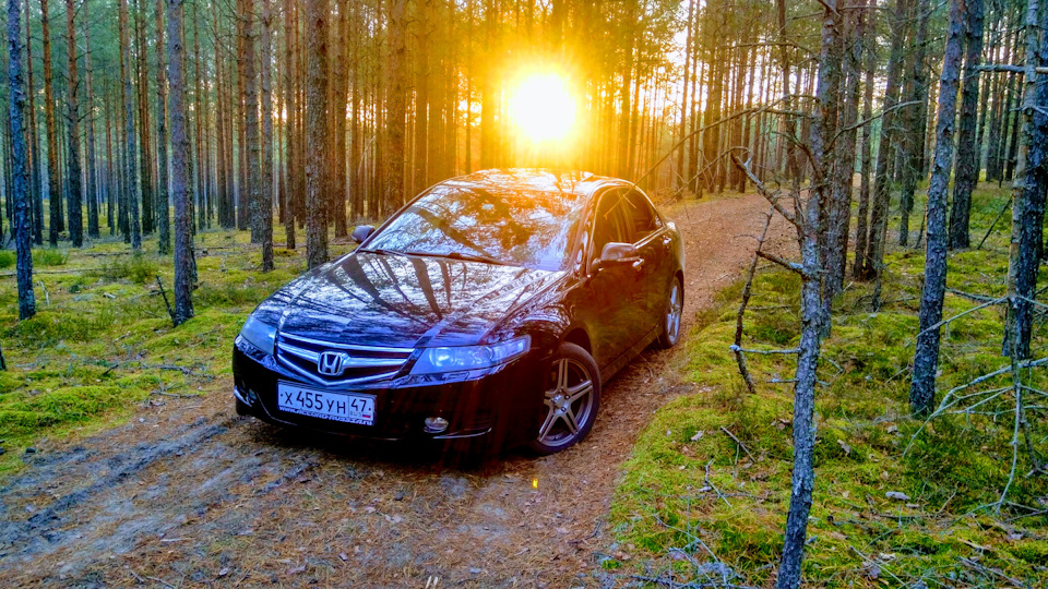 Honda Accord 2.4 MT exe