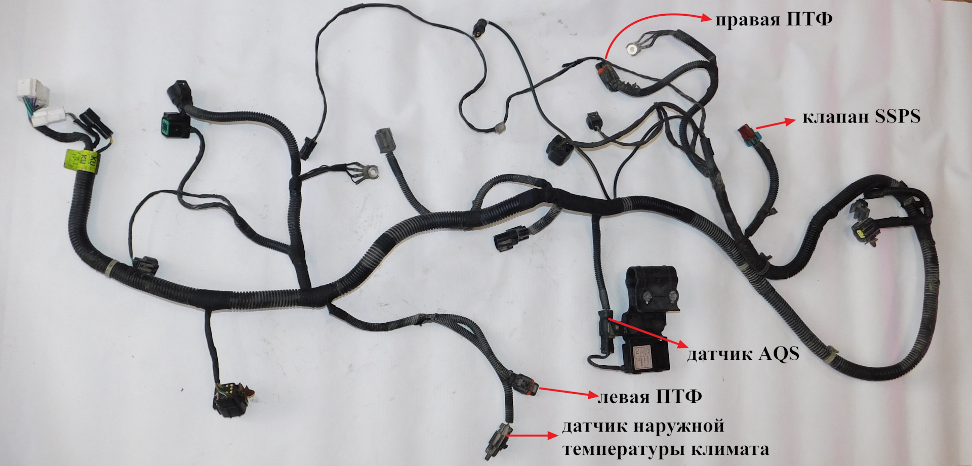 Купить Проводку Противотуманных Фар Шевроле Авео