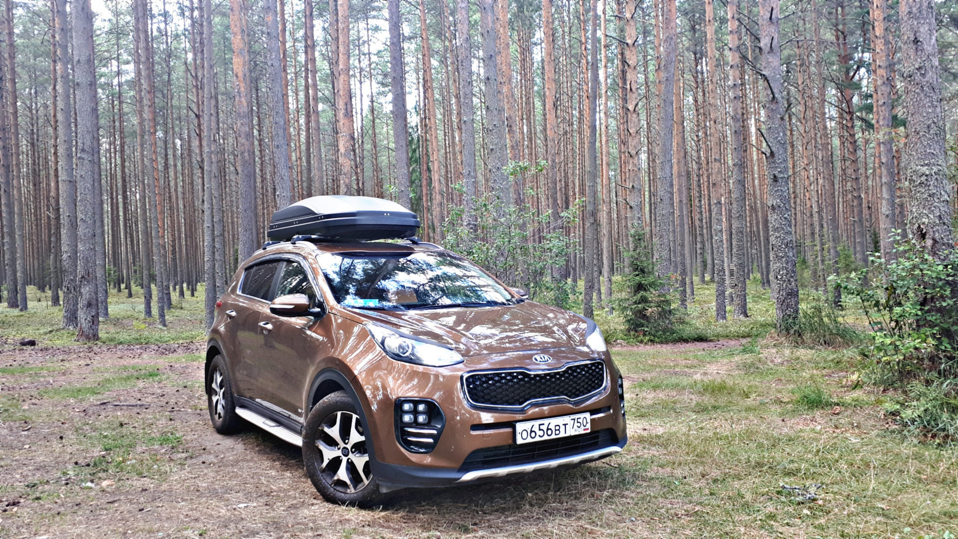 Дром кия. Sportage Cooper Stone. Кия Спортейдж 2023.