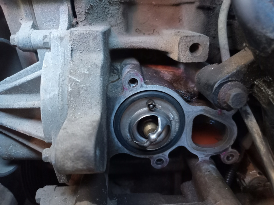 Течь антифриза из под корпуса термостата. — Ford Fusion, 1,4 л, 2005 ...