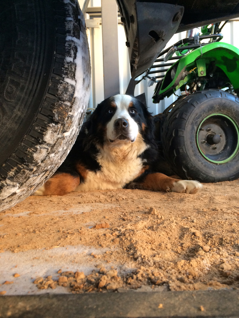 Фото в бортжурнале Mitsubishi Pajero (4G)