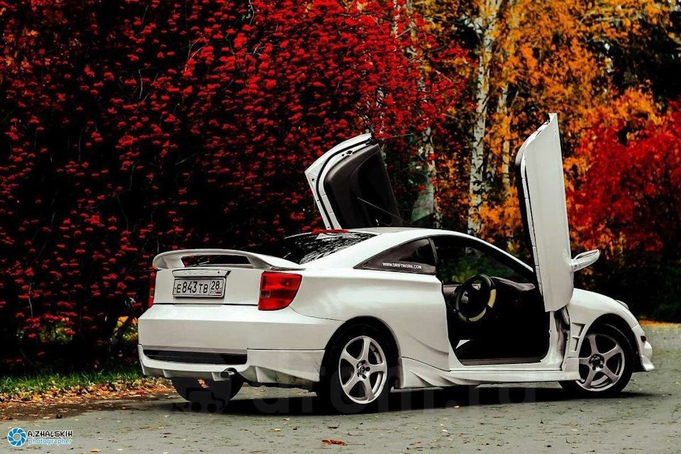 Подскажите сколько стоит установка Ламбо петля универсальная ? — Toyota ...