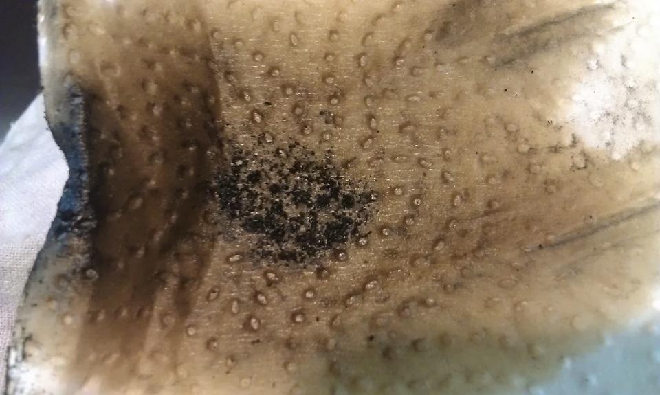 Фильтр клапана VVT-i — Lexus IS, 2 л., 1999 года | своими руками | DRIVE2