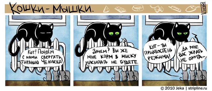 Смешные истории про котов