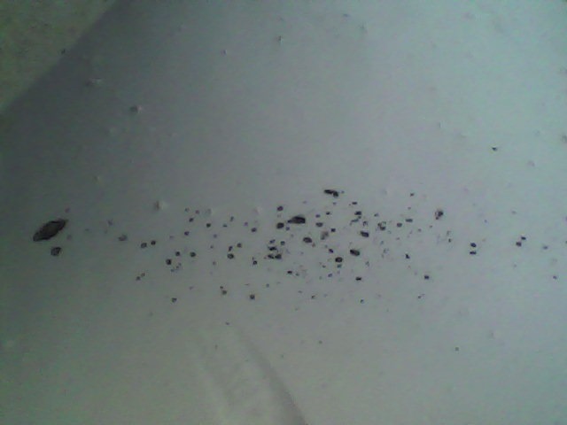 Копоть на снегу из выхлопной. — Chevrolet Aveo Sedan (1G), 1,2 л, 2006 ...