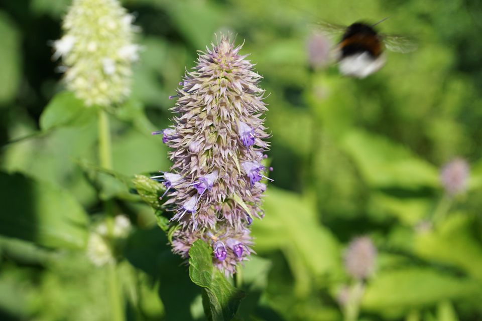 Фото в бортжурнале Nissan Murano II