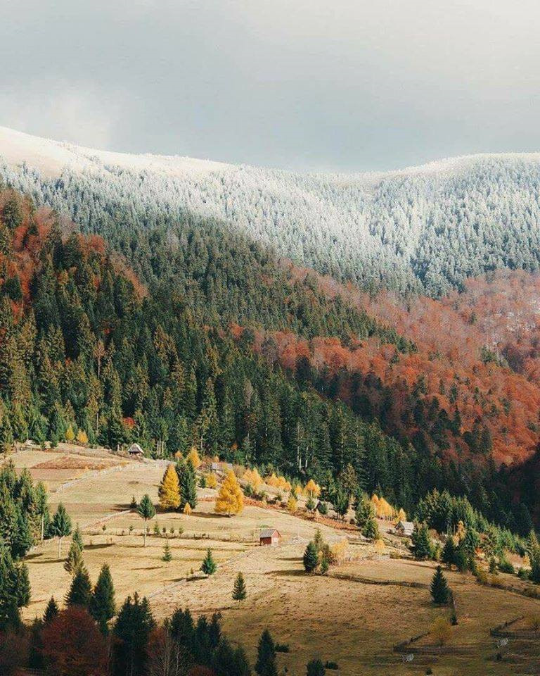 Карпатские горы Закарпатье