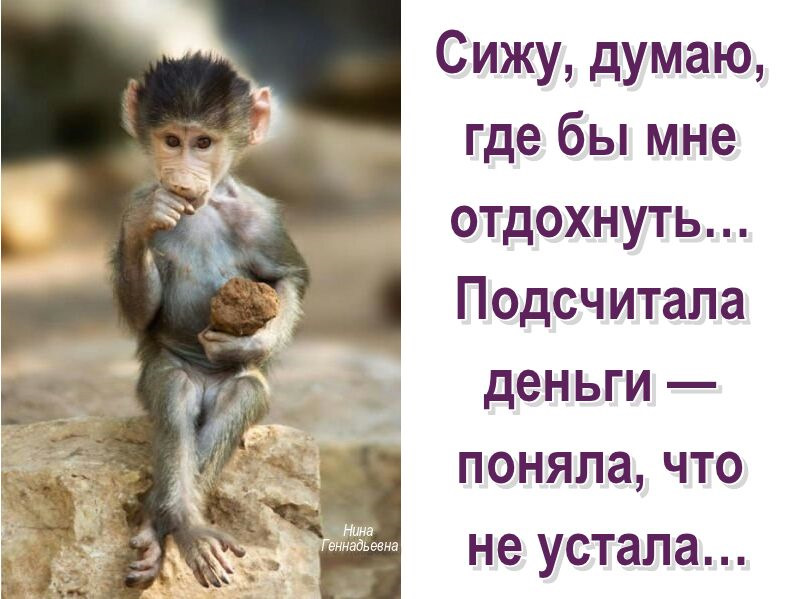 Мне плевать. Умные мысли про сон. То то я и думаю. То то я и думаю. 38 попугаев мартышка.