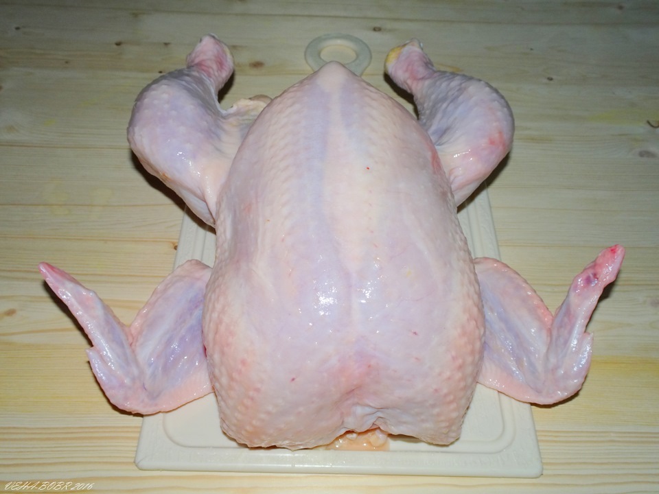 Куры раз в неделю. Сфоткал курицу на ширик. Как красиво разделась курицу для зажарки в духовке.
