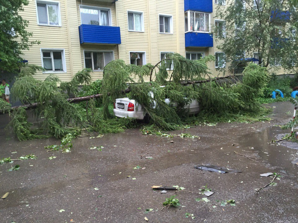 Буря в омске. Ураган Омск в Омске. Ураган в Омске: «по улицам летали деревья». Ураган в Амуре Омск. Сильный ветер в Омске.