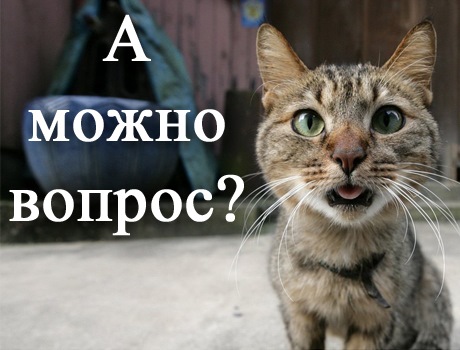 Задай вопрос прикольные картинки