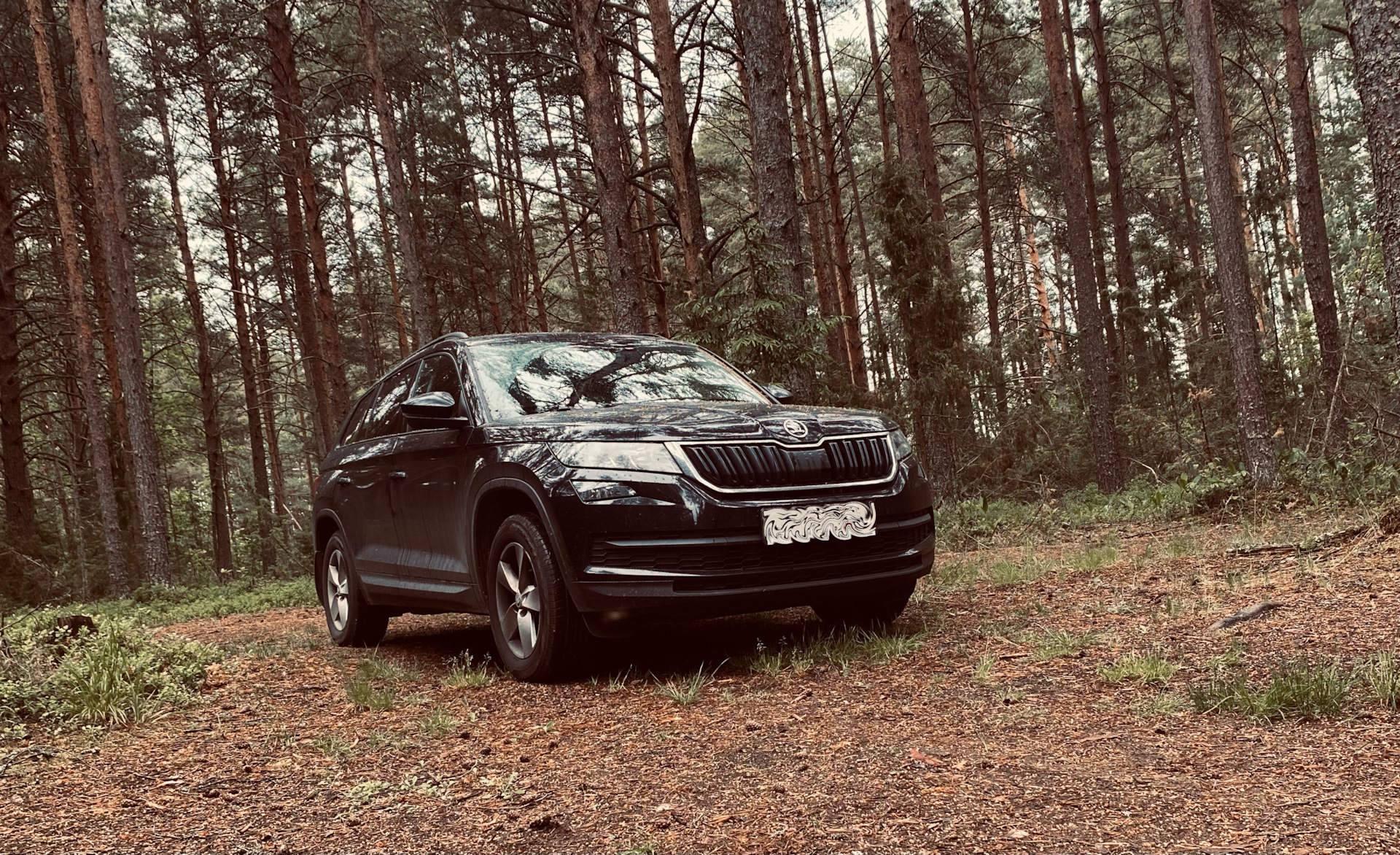 Москва — Селигер — Санкт Петербург — Москва 2022 / Фото — Skoda Kodiaq, 1,4  л, 2019 года | путешествие | DRIVE2