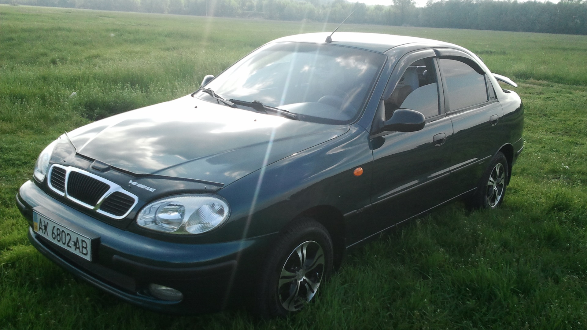 Daewoo Sens 1.3 бензиновый 2004 | Зелёный металлик на DRIVE2