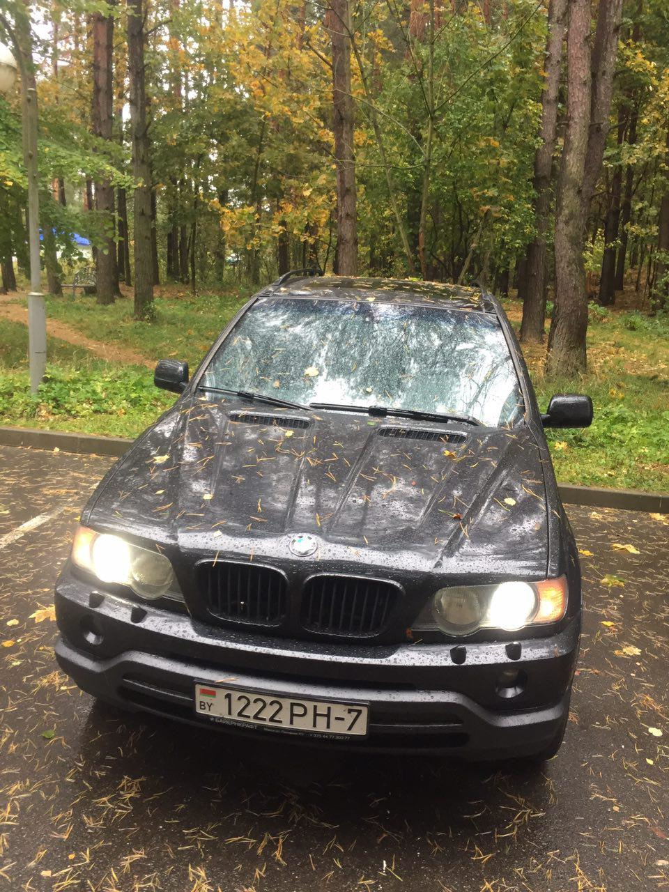 Минусы парковки в лесу. Особенно в дождь :( — BMW X5 (E53), 4,4 л, 2002  года | наблюдение | DRIVE2