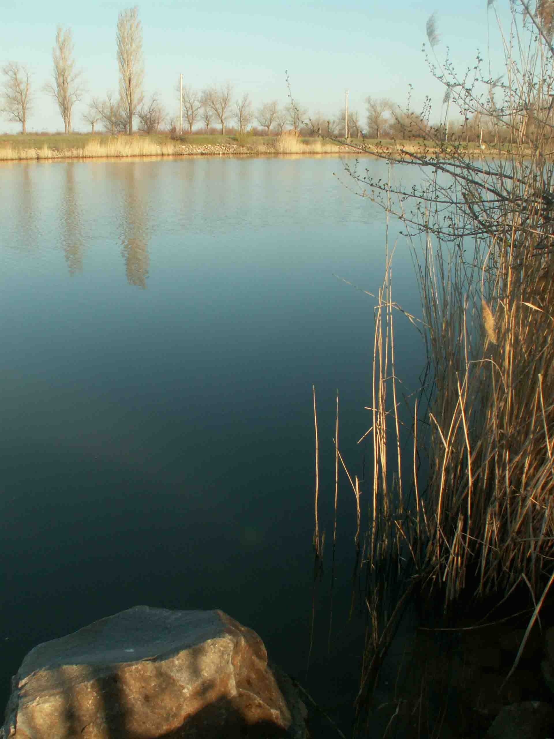 какая рыба водится в волгодонском канале. Смотреть фото какая рыба водится в волгодонском канале. Смотреть картинку какая рыба водится в волгодонском канале. Картинка про какая рыба водится в волгодонском канале. Фото какая рыба водится в волгодонском канале