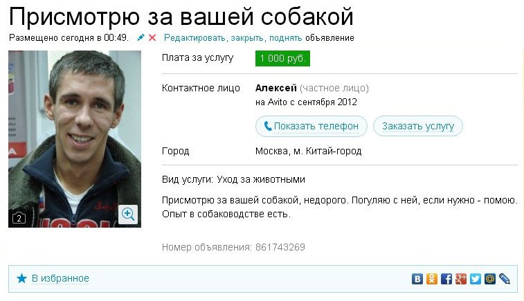 Панин и собака мем Объявления с авито и других ресурсов. Ч.2. (возможны баяны) - Сообщество "Позити