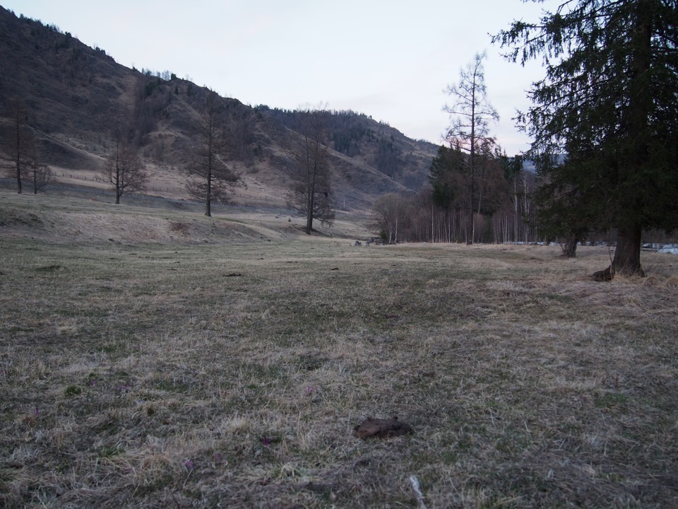 Монголия Часть вторая, доехать до границы. — Nissan Patrol GR II (Y61 ...