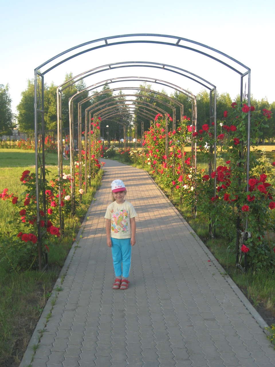 Парк роз строитель белгородская область