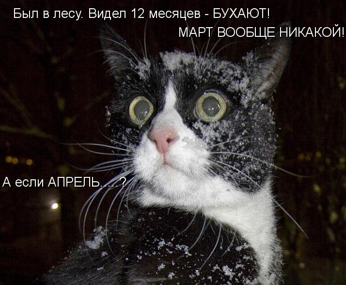Сегодня я дома уже