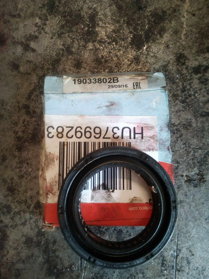 Фото в бортжурнале SsangYong Musso