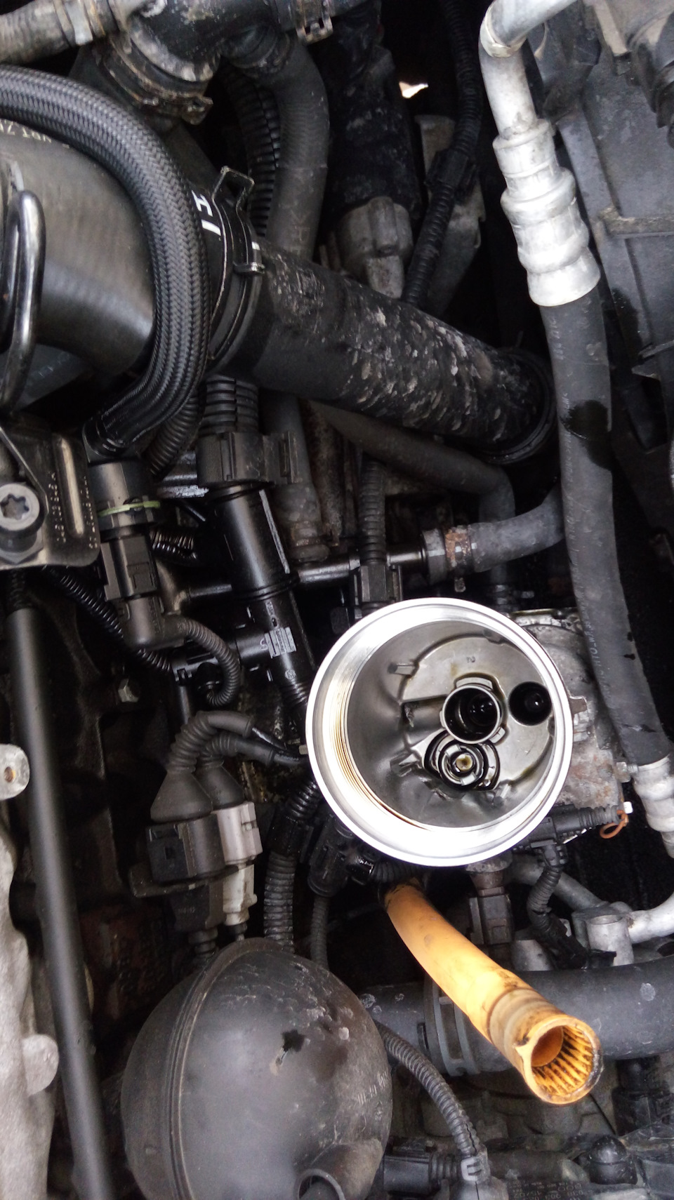 Масло на замену. — Volkswagen Sharan (1G), 1,9 л, 2001 года | плановое ...