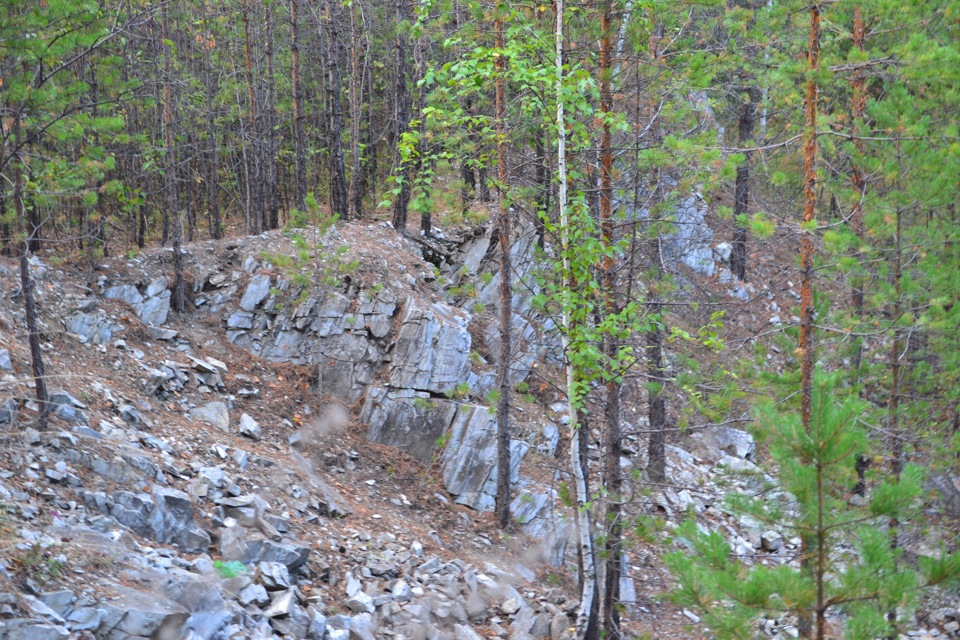 Фото в бортжурнале УАЗ Patriot