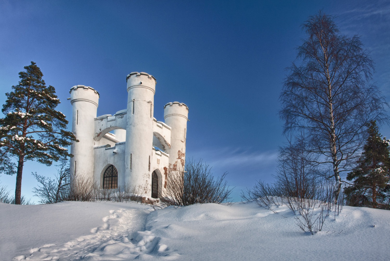 Монрепо парк зимой в выборге фото