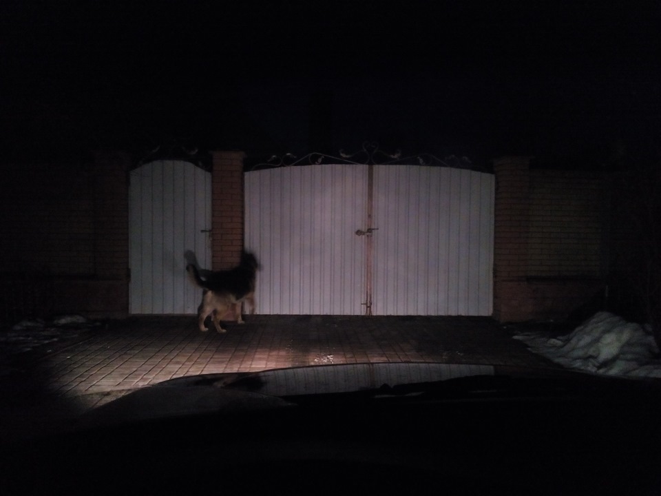 Фото в бортжурнале Daewoo Nexia (N150)