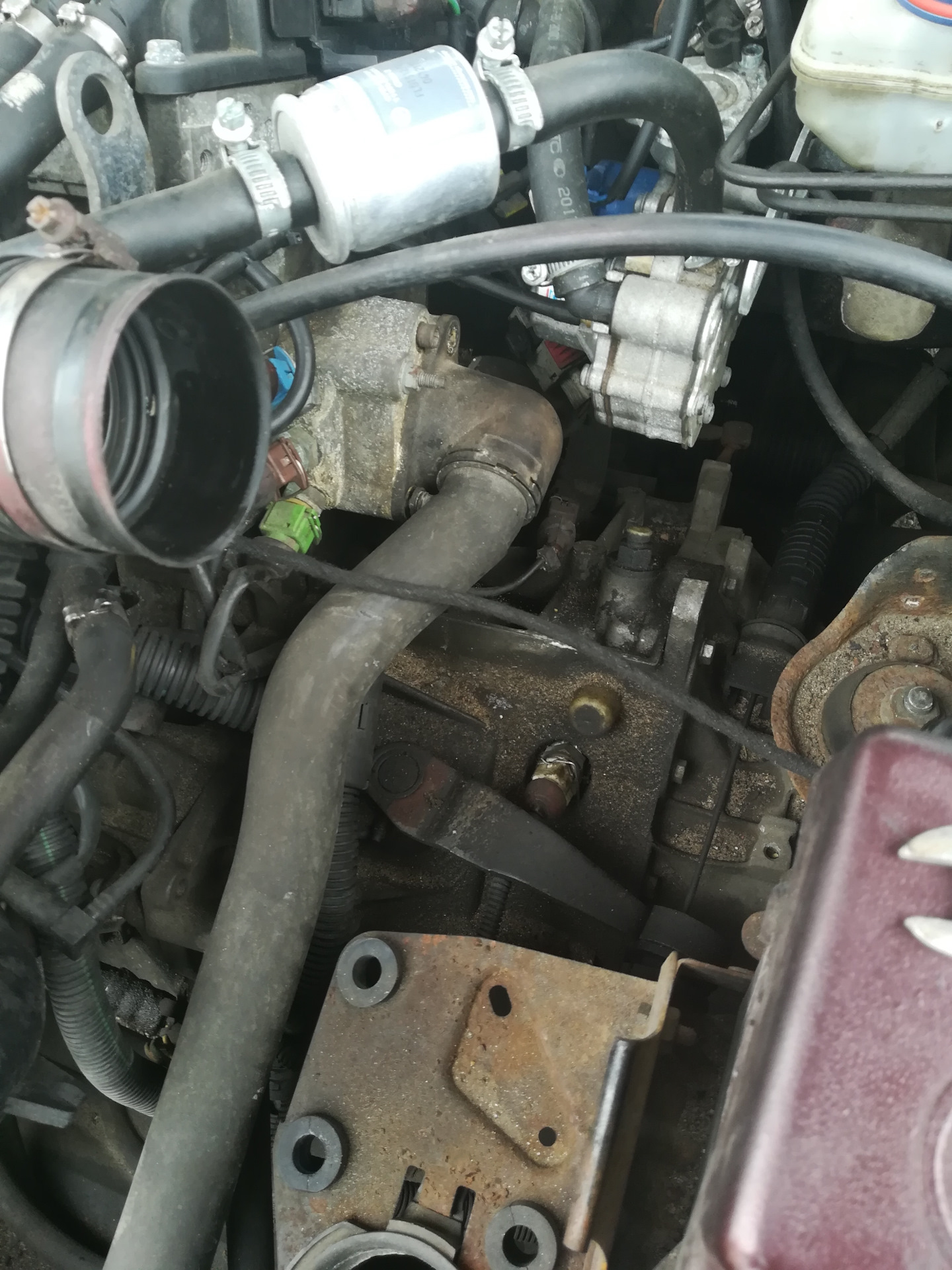 Замена термостата. Победа — Peugeot 406, 1,8 л, 1999 года | своими ...