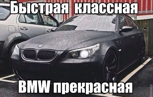 Скачай это бесплатное Фото на тему Кот с бмв и открой