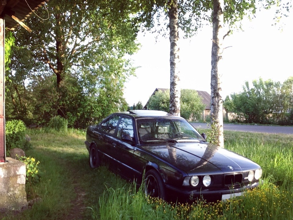 bmw e 34