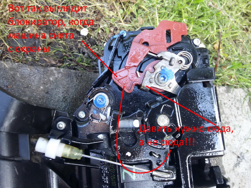 Фото в бортжурнале Volkswagen Touareg (1G)