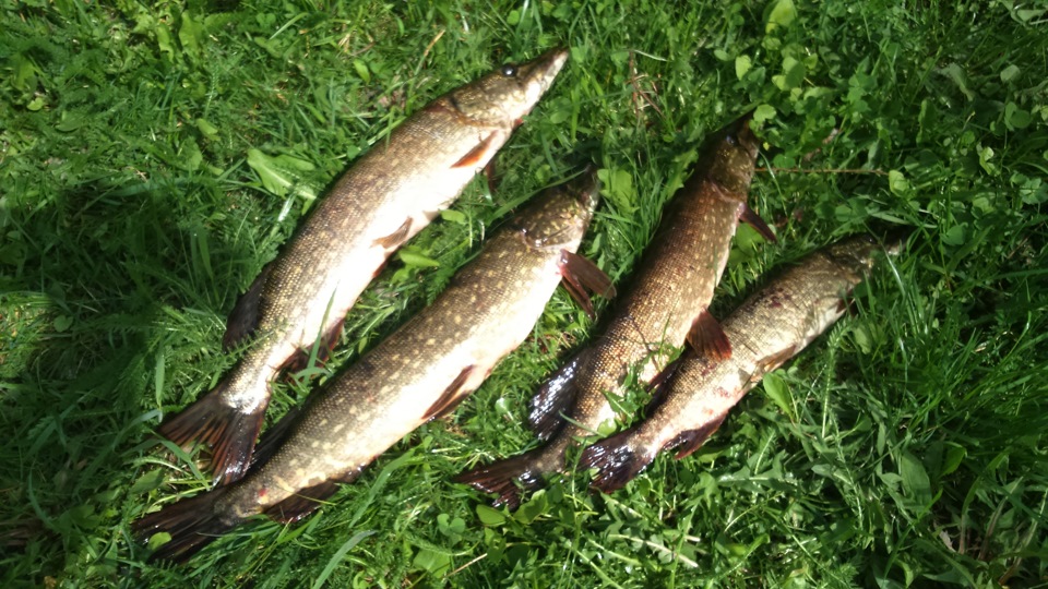 Сезон открыт. Наконец то! — DRIVE2