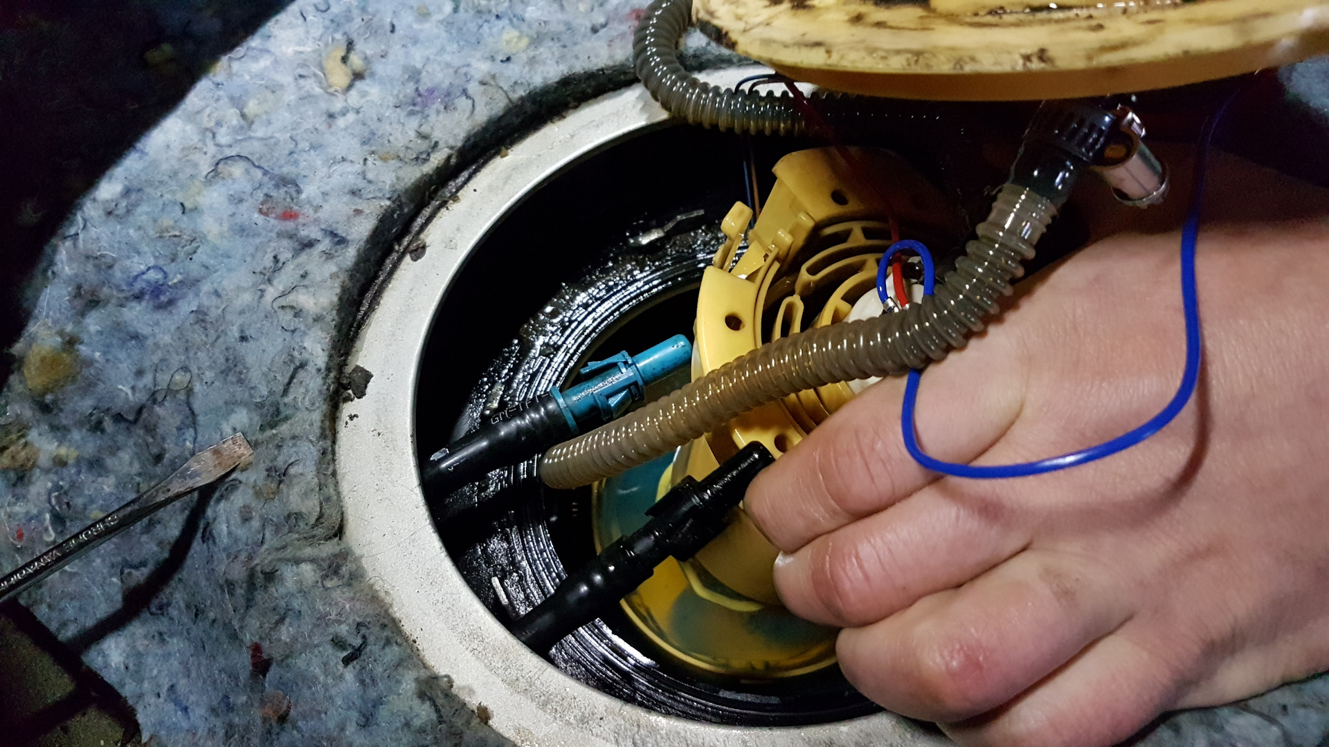 Сетка бензонасоса пассат б5. Сетка бензонасоса ниссан. Грязная сетка бензонасоса. Сеточка бензонасоса джетта 6. Топливная сетка не пропускающая воду.