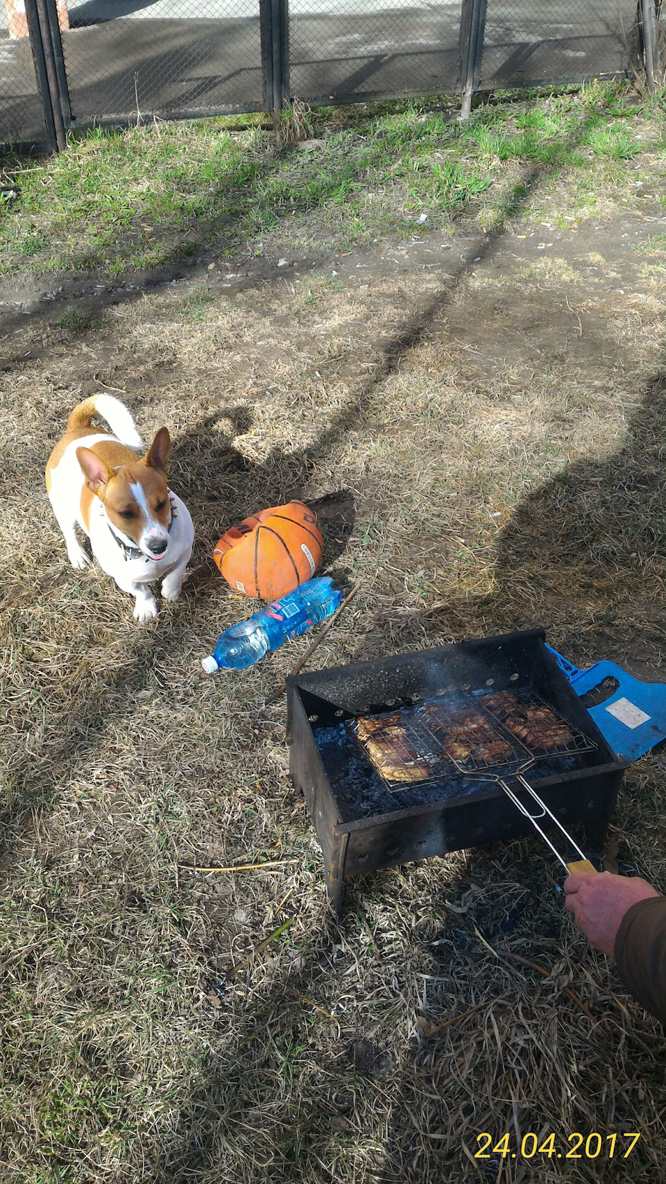 Фото в бортжурнале Volkswagen Polo Sedan