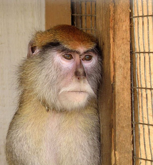 Фото в бортжурнале Toyota Soarer (3G)