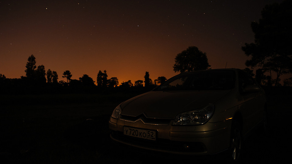 Citroen C5 Бежевый хомяк