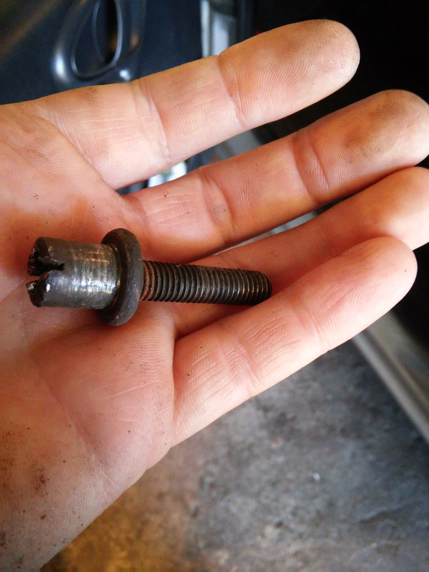 винт m8 x 8 x 20 мм. где найти болты. где найти болты. межсекционная стяжка m3. болт m6x40 screw.