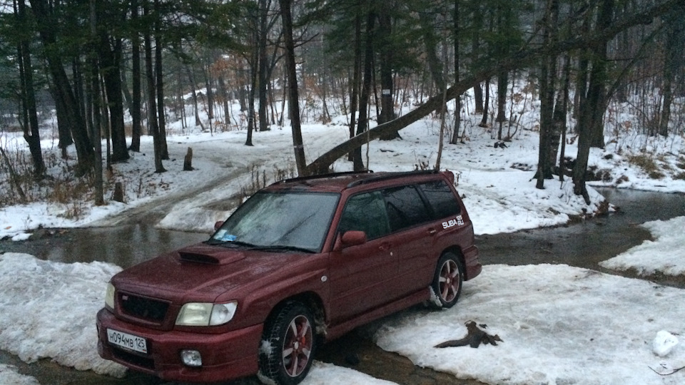 Бортжурнал Subaru Forester Цвет "Спелая вишня"