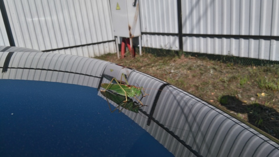 Полировка фар своими силами — Subaru Tribeca B9, 3,6 л, 2008 года ...