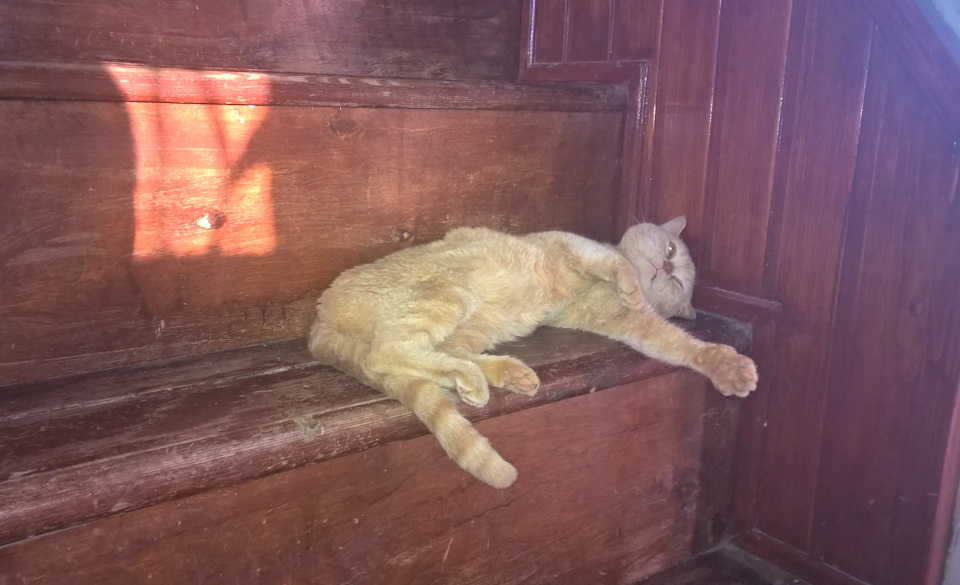 Фото в бортжурнале Audi 100 (C4)